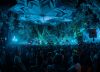 Festival scene connected to Bass Coast.