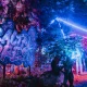 Fractal Forest stage scene at Shambhala Music Festival.