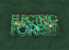 Festival scene connected to Electric Forest.