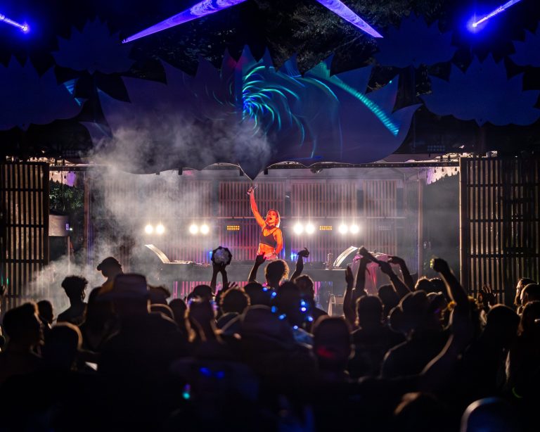 A DJ performs beneath blue-lit stage art as a crowd dances at Sonic Springs Festival.